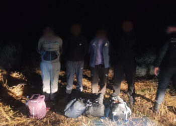 Четыре иностранца задержаны с помощью системы воздушного наблюдения