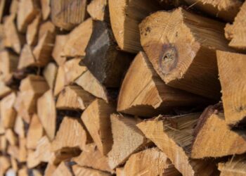 Лесхоз Комрата заготавливает дрова для населения. Как и где их приобрести? 