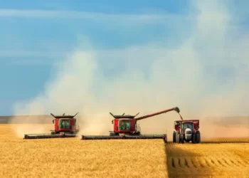 Помощь фермерам: Япония предоставит Молдове 1,9 миллиона евро в виде гранта