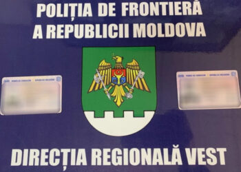 Случай на границе: Молодой человек признался, что купил права