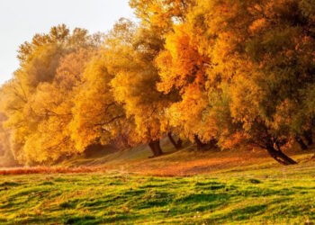 В среду начинается короткое потепление в Молдове