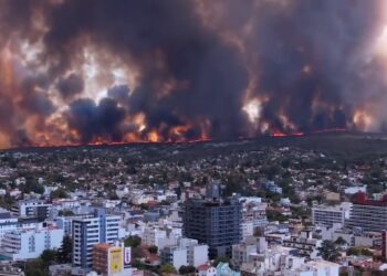В Аргентине вспыхнули масштабные лесные пожары