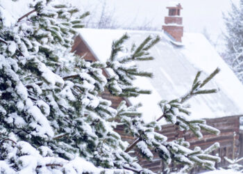 В Молдове снегопад и сильный ветер оставили без электричества 59 населенных пунктов