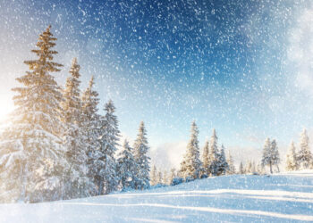 Прогнозы на первый снег!