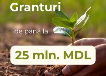 AIPA информирует о запуске первого призыва на поэтапное субсидирование инвестиционных платежей.