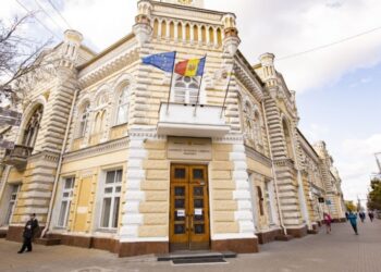 ЦИК представила профиль советников, избранных на местных выборах