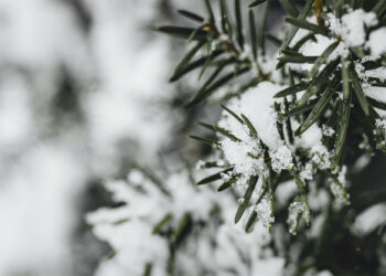 Слабый снег и на дорогах гололед. Погода в Молдове на пятницу 