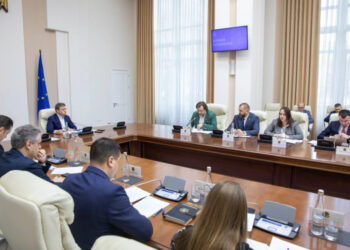 Движение грузовиков через государственные погранпереходы будет упорядочено