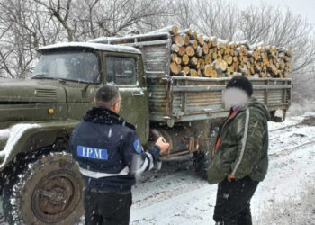 Инспекторы по охране окружающей среды провели рейды по борьбе с браконьерством