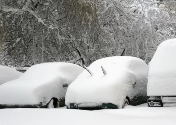 Мокрый снег и гололед. Синоптики предупреждают об изменении погоды 