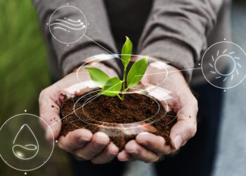 USAID  запускает грантовую программу