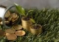 AIPA запустило процесс выплат субсидий
