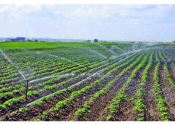 Молдова получит грант от Японии для поддержки фермеров