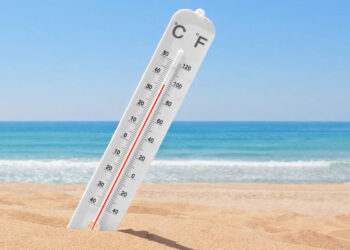 Январь 2024 года побил сразу несколько климатических рекордов за историю наблюдений