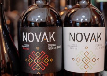 ВИНОДЕЛ-УРОЖЕНЕЦ ИЗ ГАГАУЗИИ ЗАВОЕВАЛ ПРИЗОВОЕ МЕСТО НА КОНКУРСЕ ВИН В ИСПАНИИ