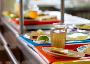 ОРГАНИЗАЦИЯ ПИТАНИЯ В ШКОЛАХ ГАГАУЗИИ: выполнение финансового норматива и мониторинг качества