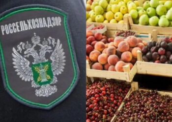 Россия разрешила ввоз агропродукции из Гагаузии