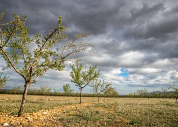 В Молдове могут начать вызывать искусственные дожди с использованием дрона