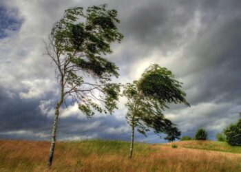 2 апреля в Молдове действует желтый код из-за усиления ветра