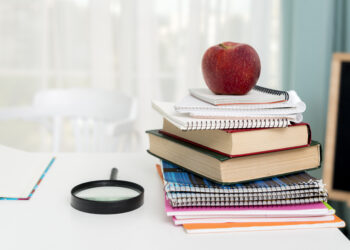 В Молдове представили новую концепцию школьной программы