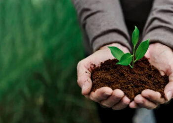 Аграрный сектор Республики Молдова переживает период восстановления