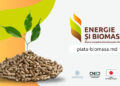 Запущена онлайн-платформа, посвященная развитию рынка энергии из биомассы