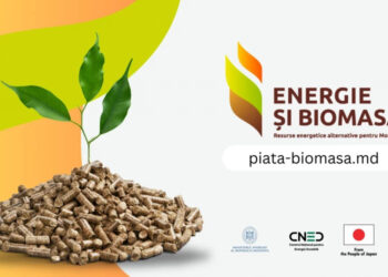 Запущена онлайн-платформа, посвященная развитию рынка энергии из биомассы