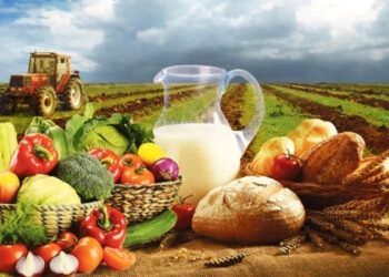 В Молдове сократилось производство сельхозпродукции