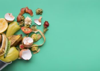 В ANSA показали, как быстро еда превращается в опасность на жаре