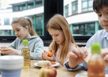 Скандал с бесплатными обедами в школах Молдовы: родители бьют тревогу!